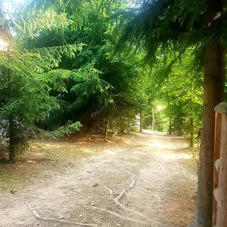 Willa Alpakowy Raj Nowy Targ Zewnętrze zdjęcie