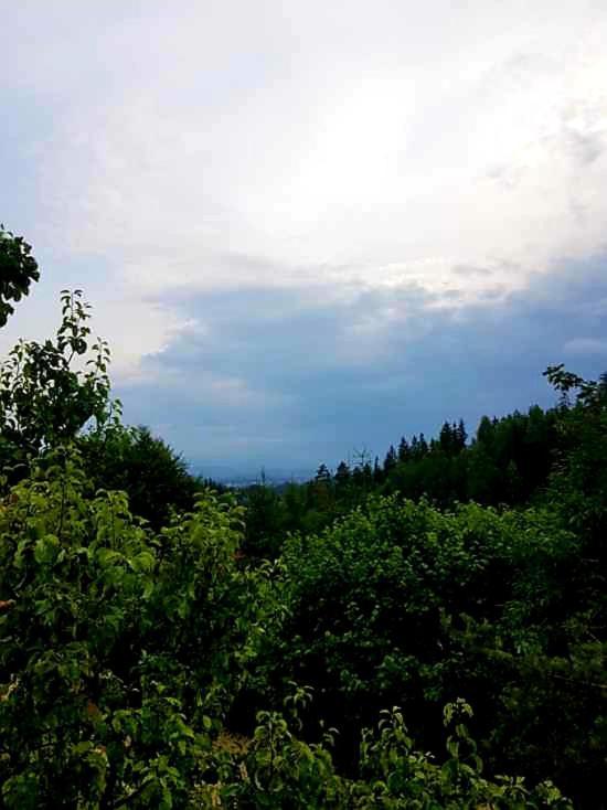Holiday home Alpakowy Raj Nowy Targ