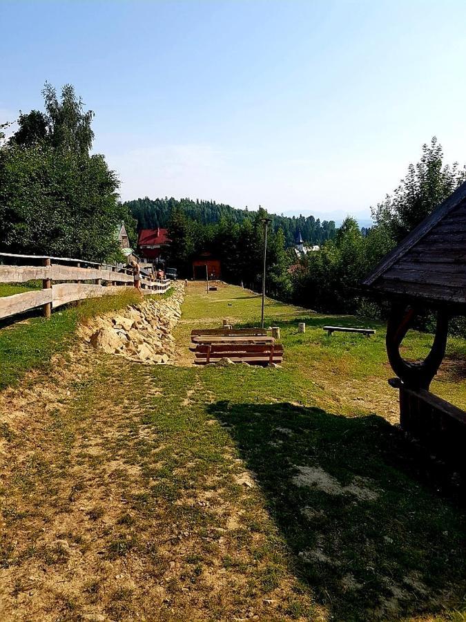 Alpakowy Raj Nowy Targ