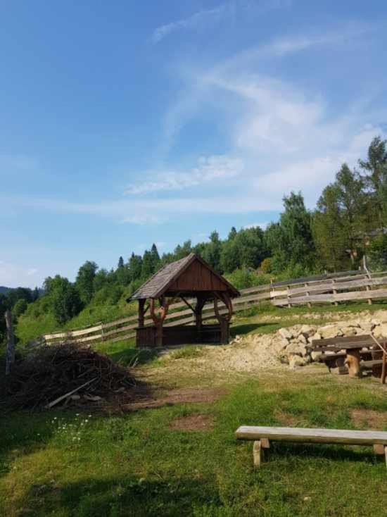 Alpakowy Raj * Nowy Targ