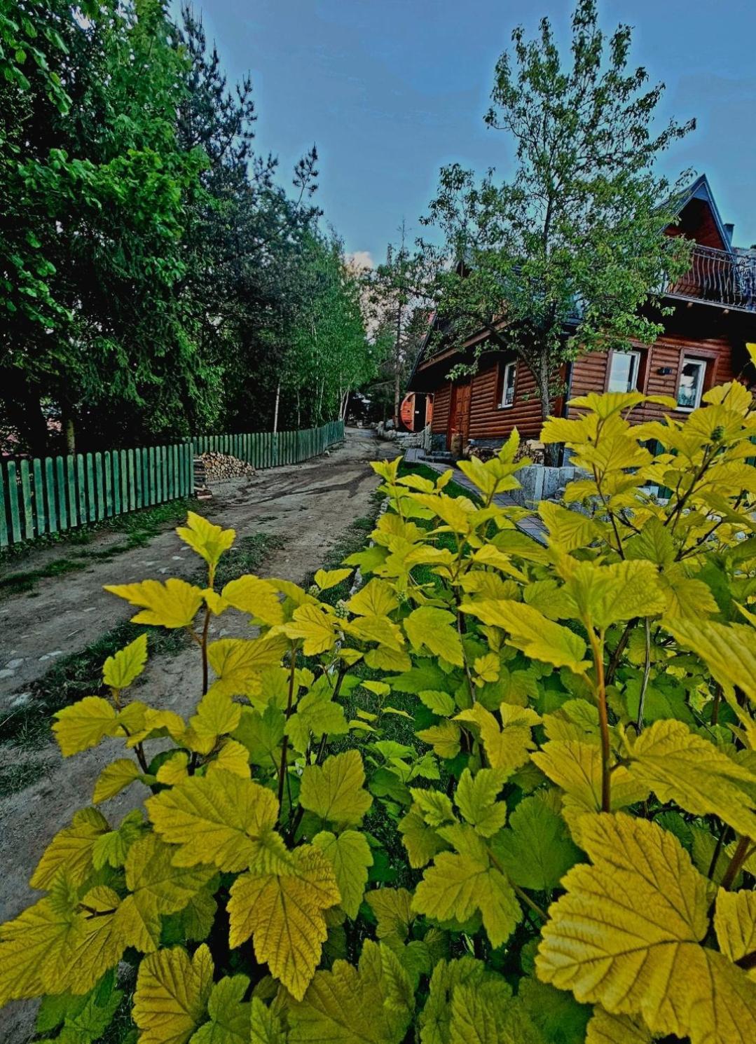 Alpakowy Raj