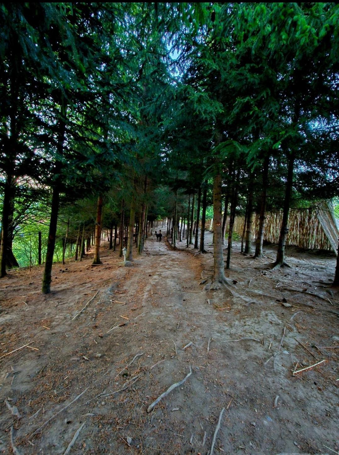 Alpakowy Raj Holiday home Nowy Targ